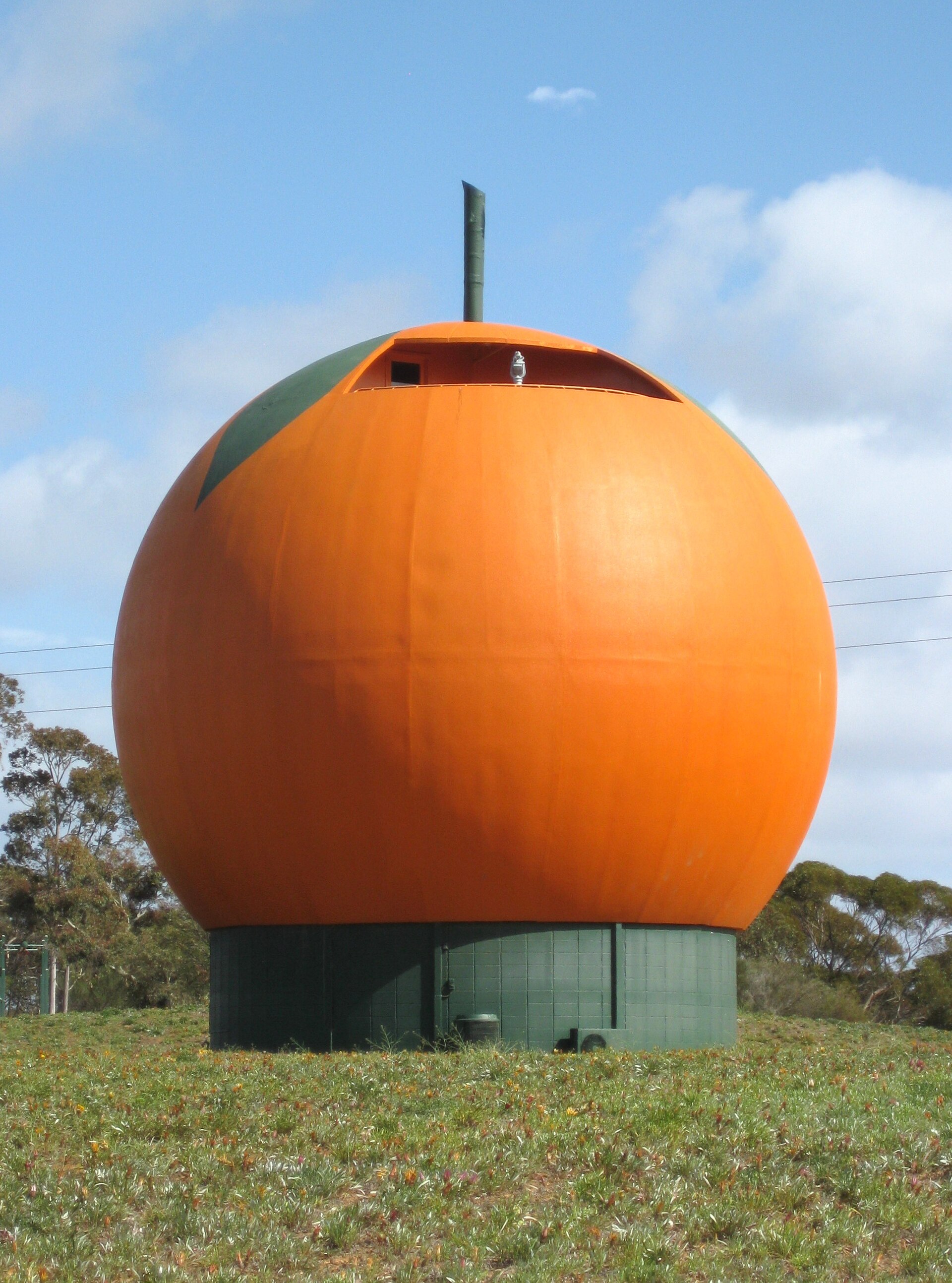 Big Orange Berri