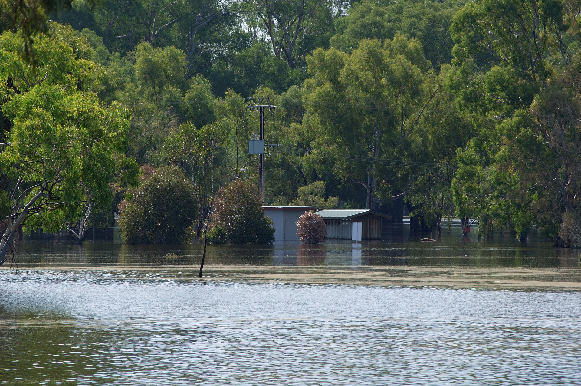 Loxton Riverfront Playground