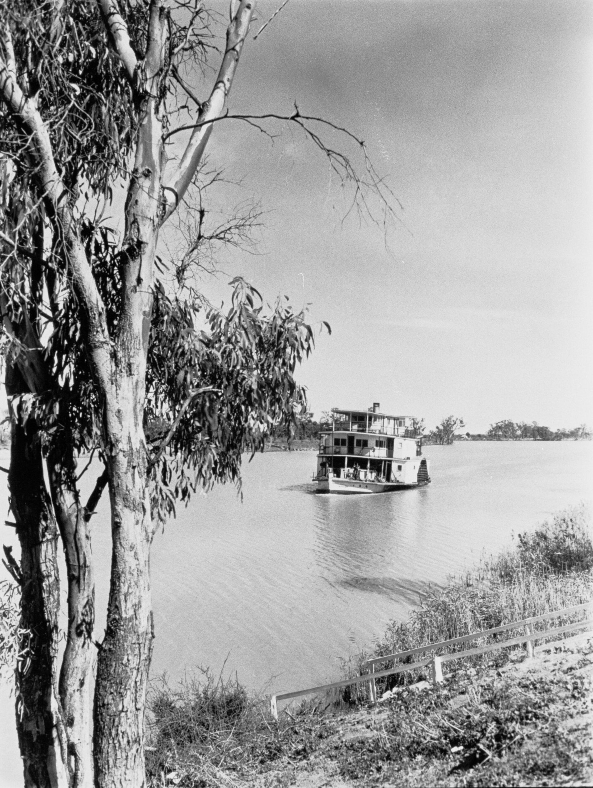 Gurra Gurra Wetlands