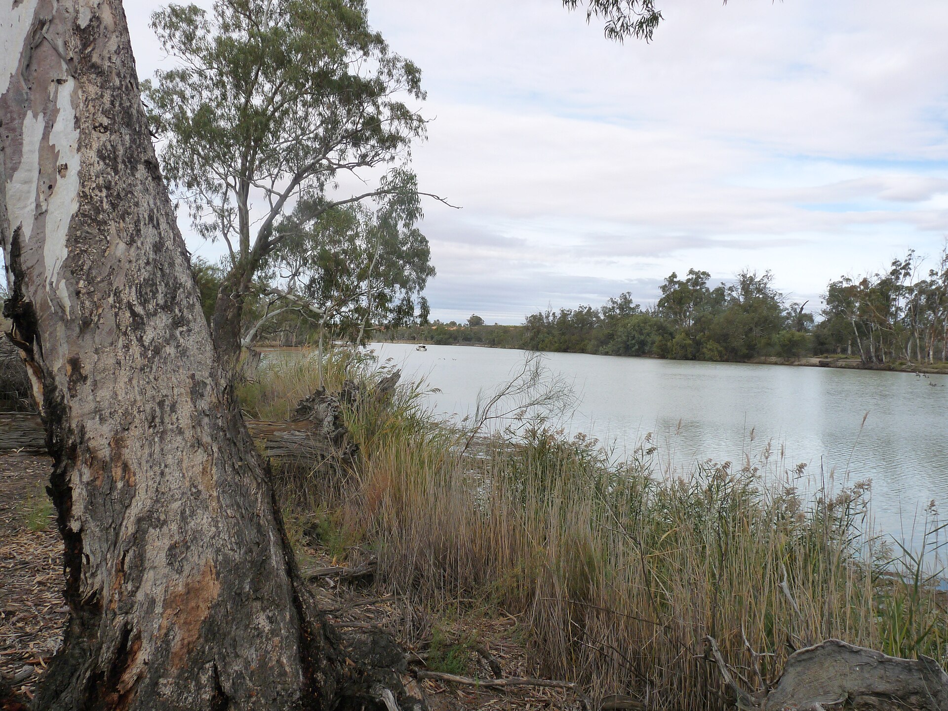 Mallee Estate Wines